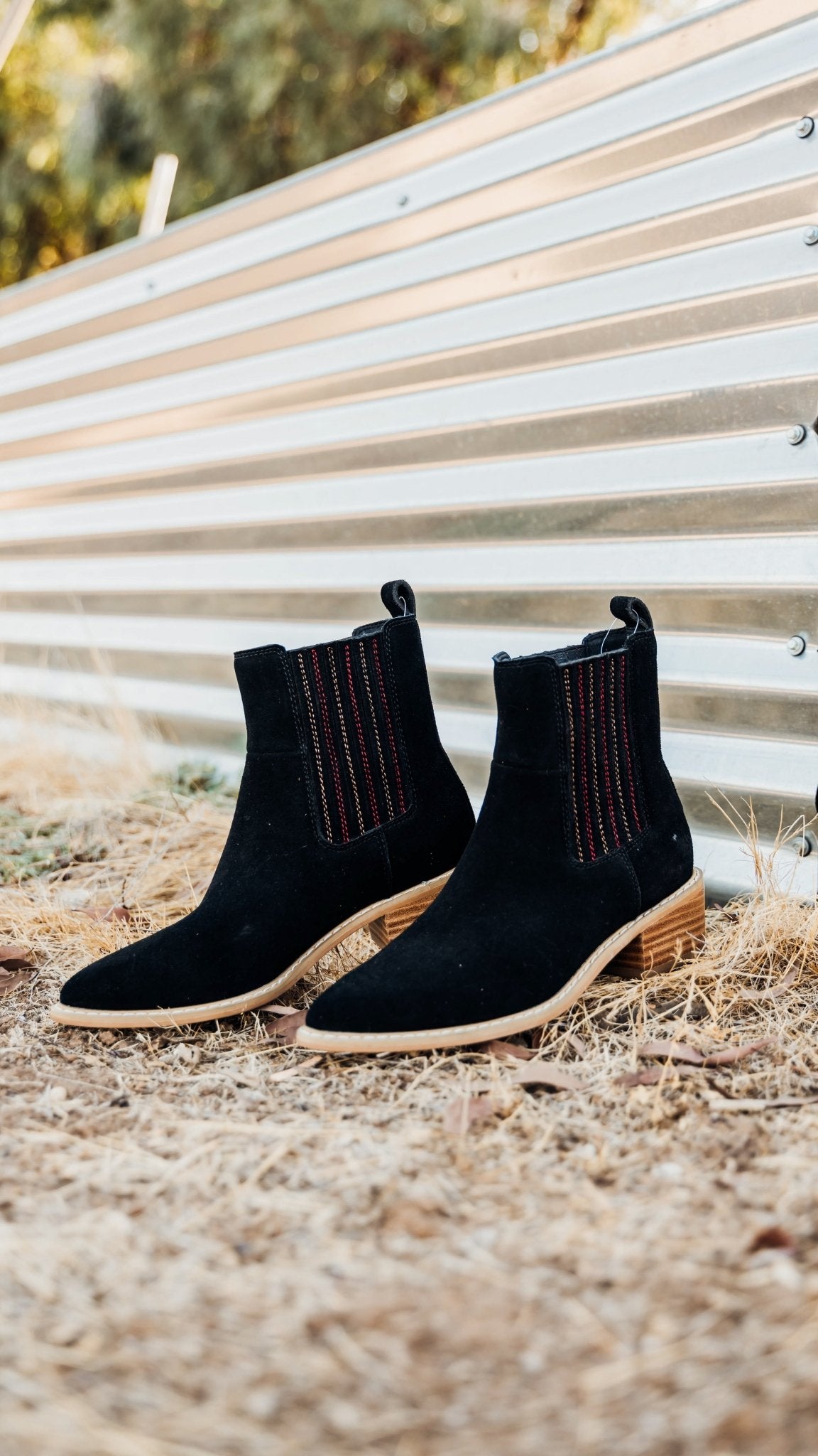 Leonor Suede Ankle Boot in Black - Loving God