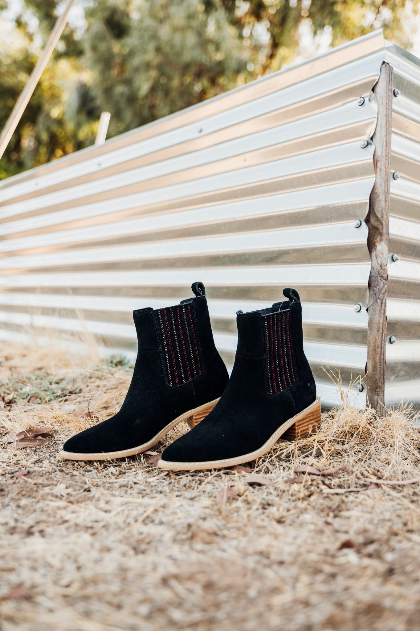 Leonor Suede Ankle Boot in Black - Loving God