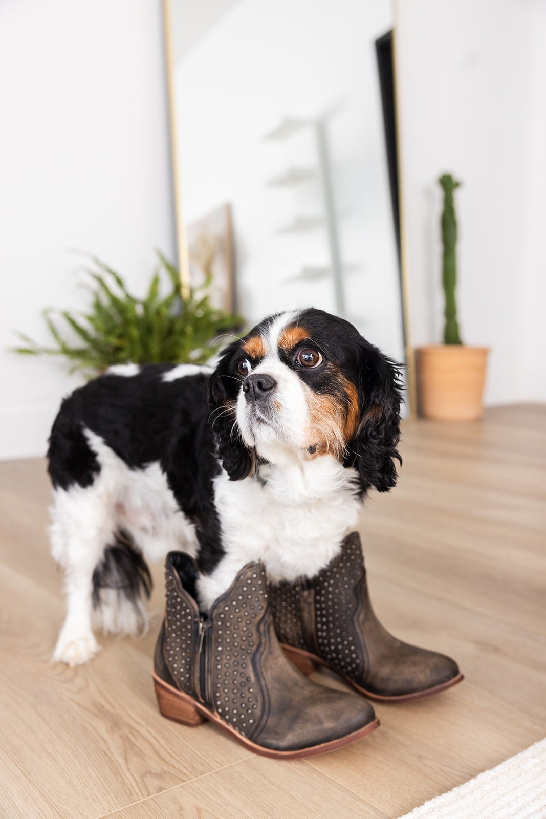 Nailed It Ankle Boot in Black - Loving God